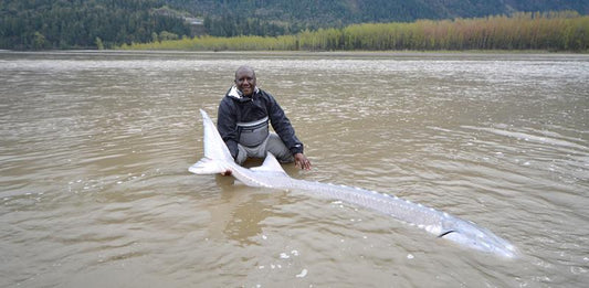 Sustainable Sturgeon Fishing