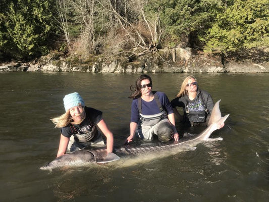 Spring Sturgeon Fishing On The Fraser