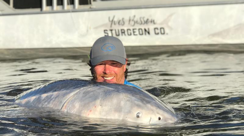 Largest Freshwater Fish In The World